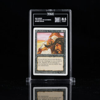 Erg Raiders - 8.5 NM MT+ - Magic: The Gathering Revised Edition